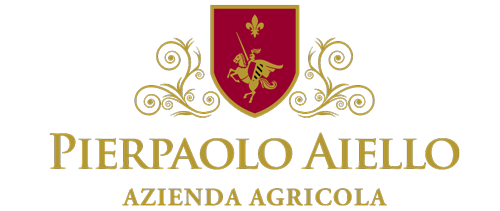 Logo aiello